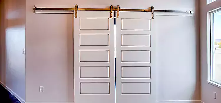 Glass Barn Door with Installation Hardware Kit Chapel Hill